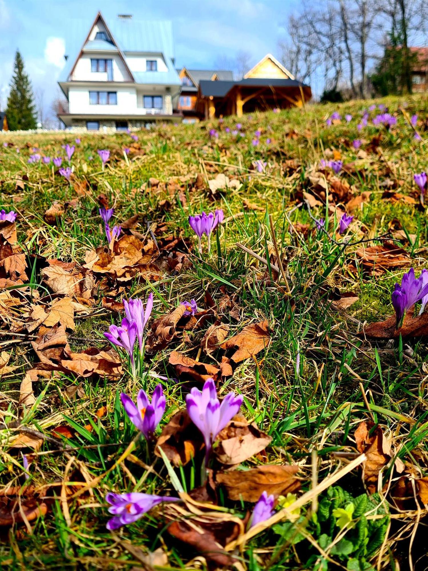 Apartment Skalna Chata Zakopane